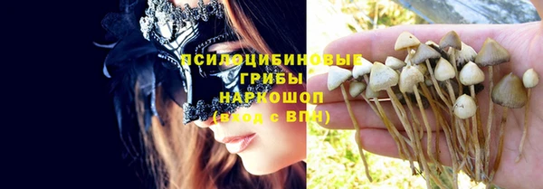 гидропоника Беломорск