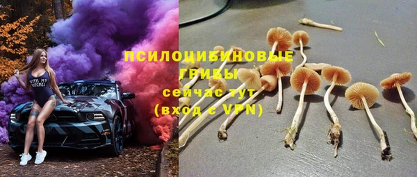 бутират Белокуриха