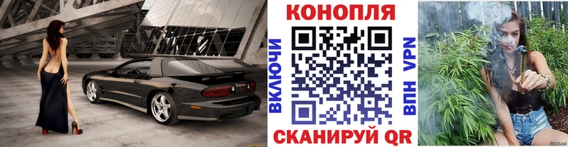 Конопля OG Kush Гай